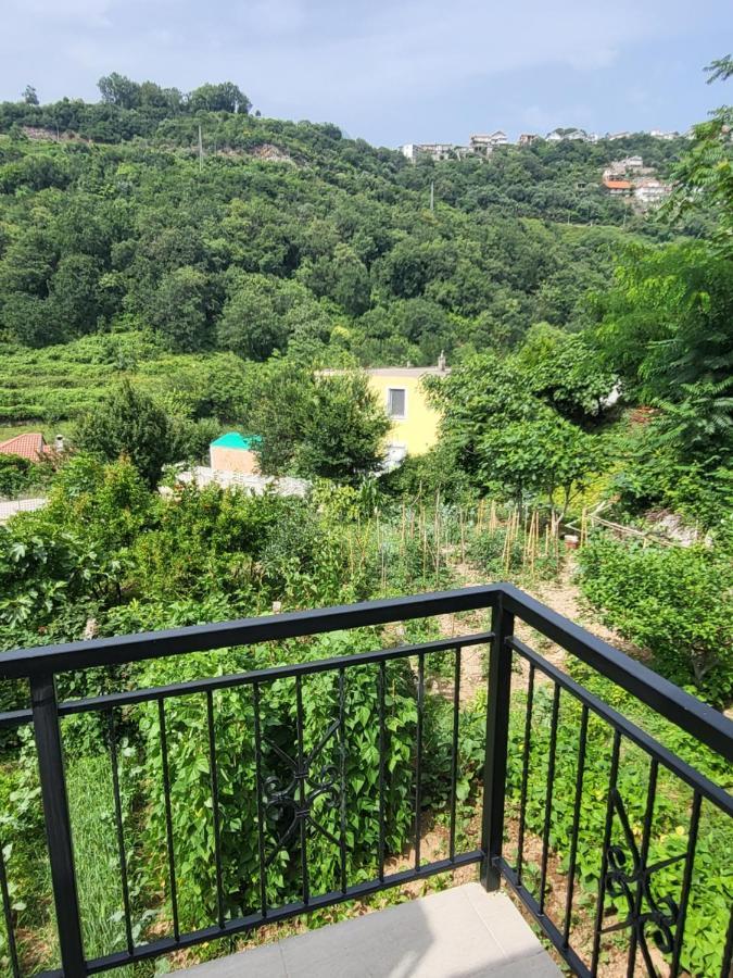 Novi Relax Apartment Herceg Novi Dış mekan fotoğraf